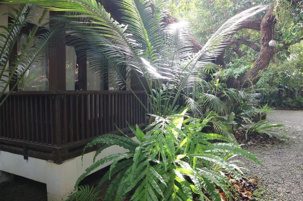 Blue Bayou Bungalows Balabag  Екстер'єр фото